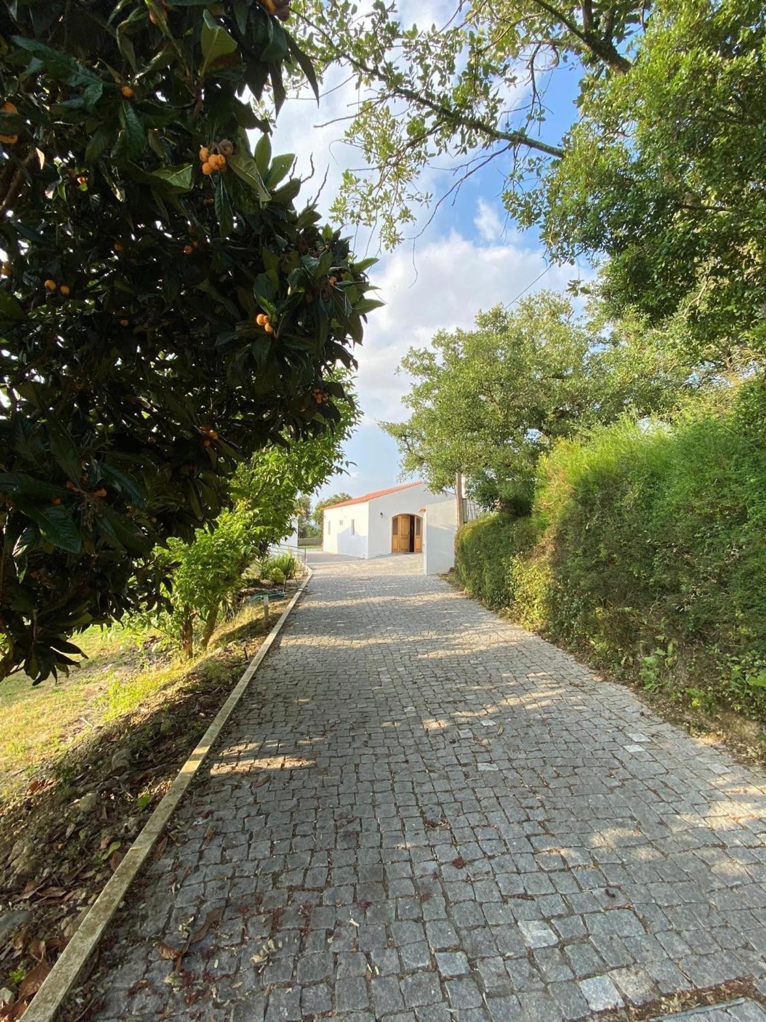 Villa Quinta Boa Vida à Alcobaça Extérieur photo